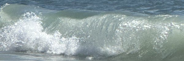 cimarronamayo Profile Banner