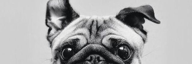 mukexmatt's profile banner image