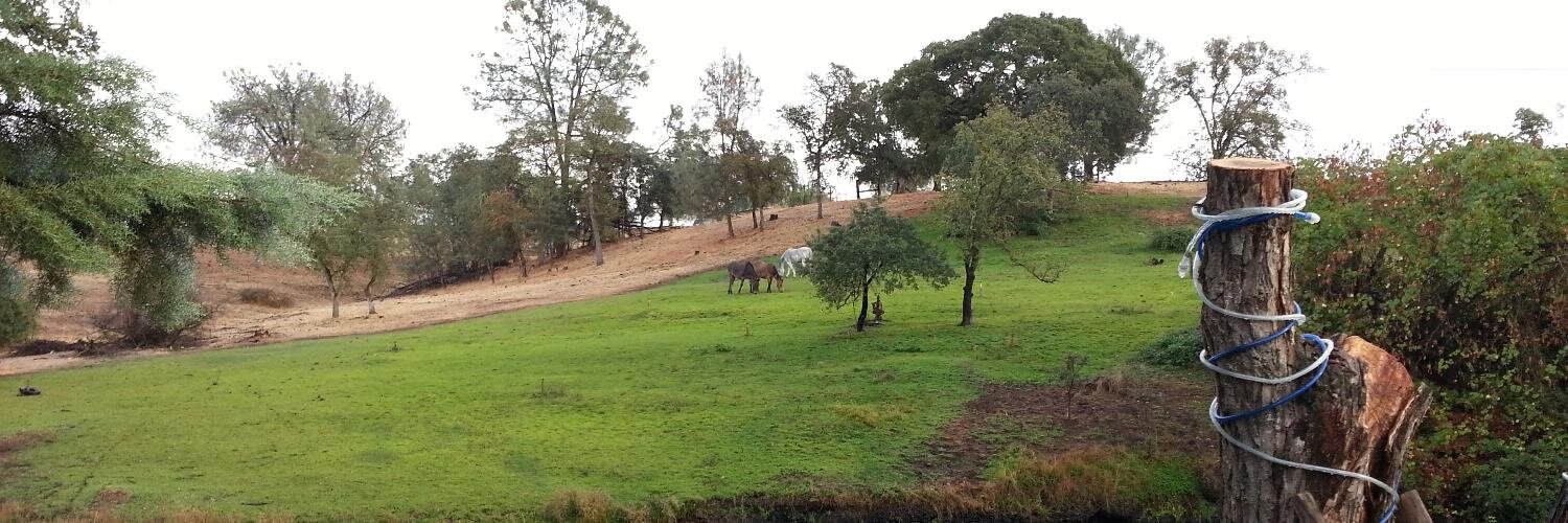 Eric Lancheres banner