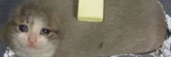 mrsmintchoco03 Profile Banner