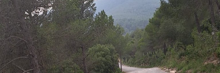 Miquel Puig i Maragall banner