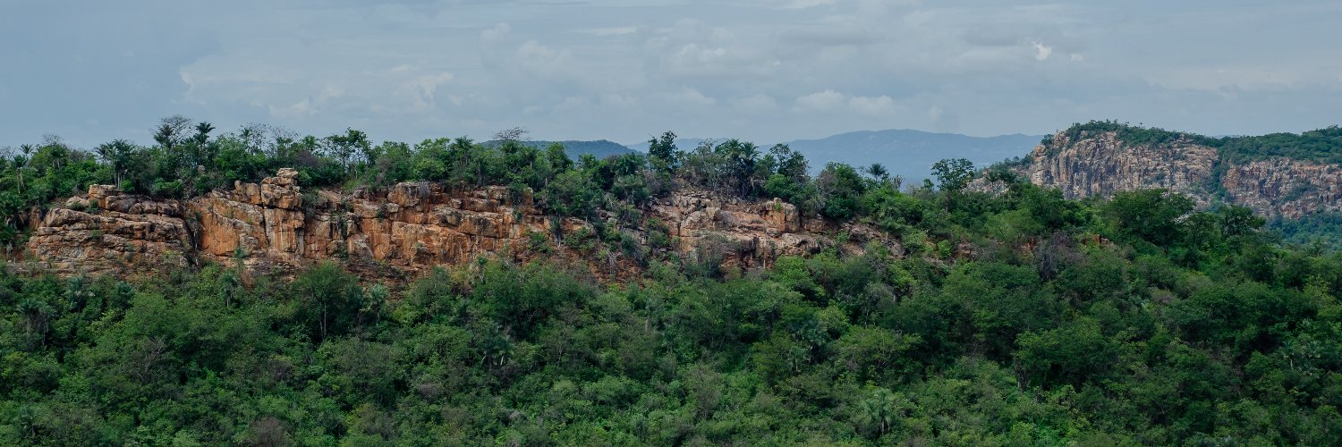 Semas Pernambuco banner