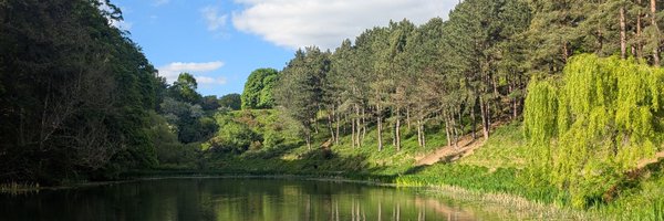 GaeilgeSahar Profile Banner