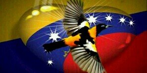 maycorito's profile banner image