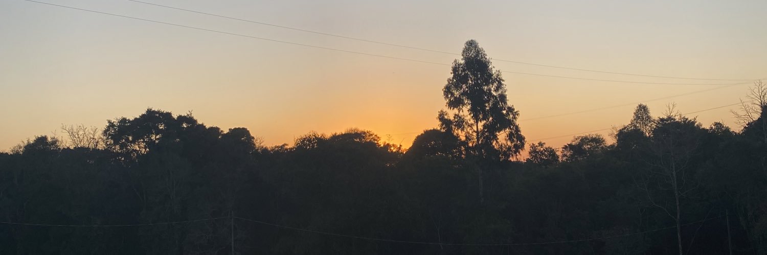larigabss's profile banner image