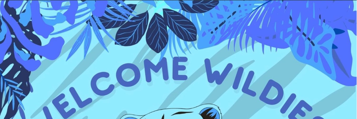 Sweet Tiger Cub NFT Cambodia banner