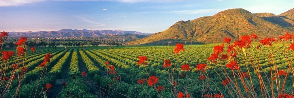 Ventura County Supervisor Jeff Gorell banner