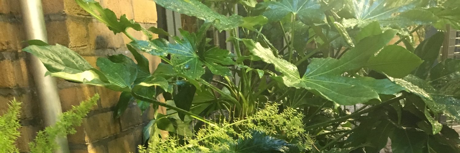 bexharding_'s profile banner image