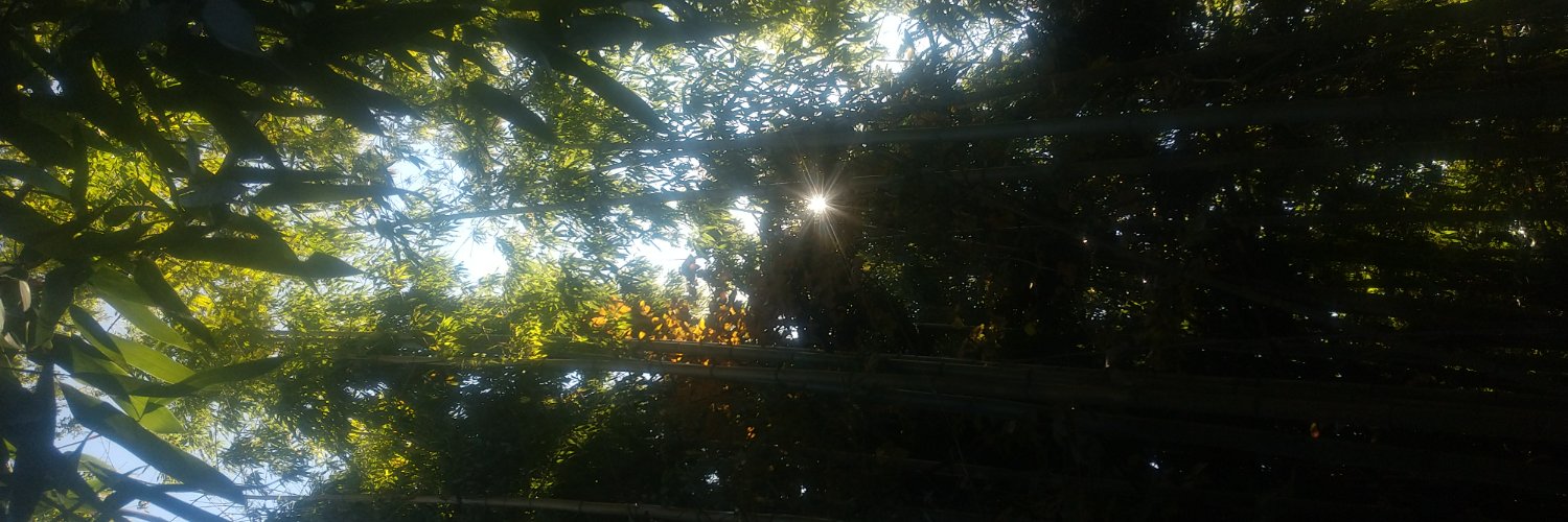 potto_cup's profile banner image