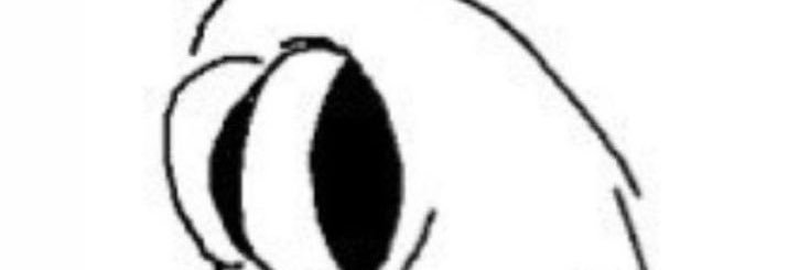 catnip33b's profile banner image