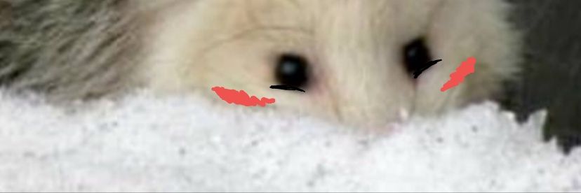 Lupa_Wulf's profile banner image