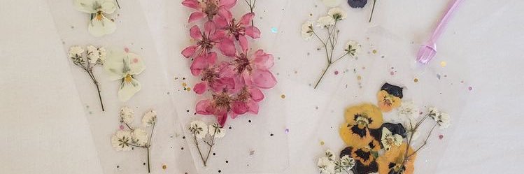 cinty_hernandez's profile banner image