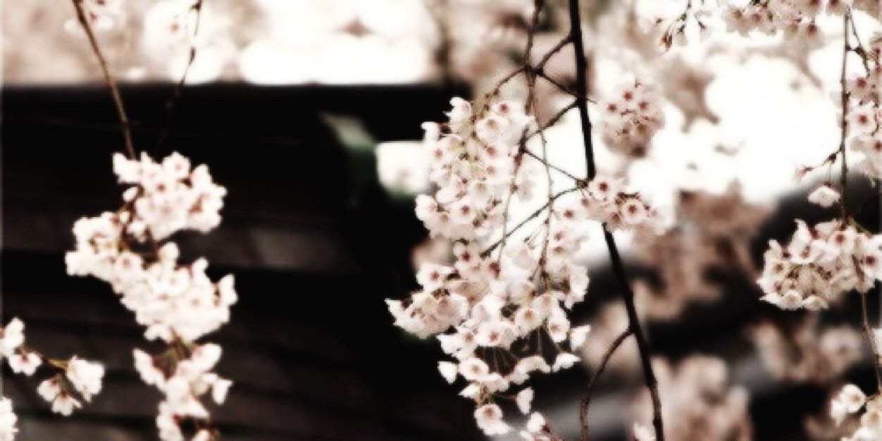 _GraysonJohnson's profile banner image