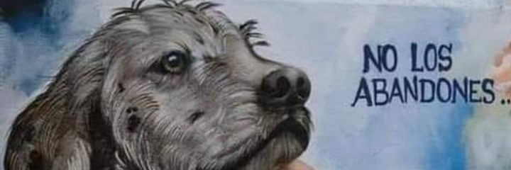 Яoger García 𝕏 banner