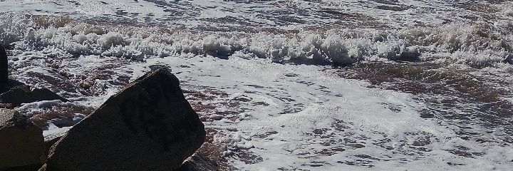 canndestella's profile banner image