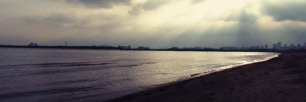 cherry_K1994's profile banner image