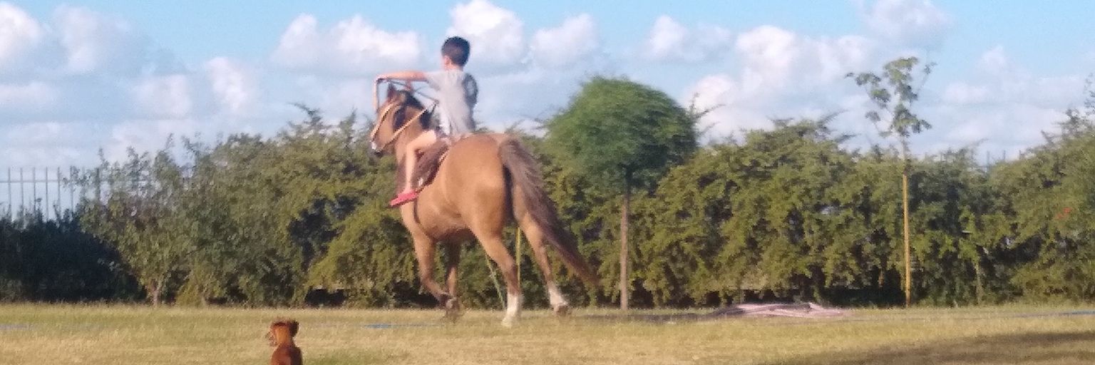 lulihortas's profile banner image