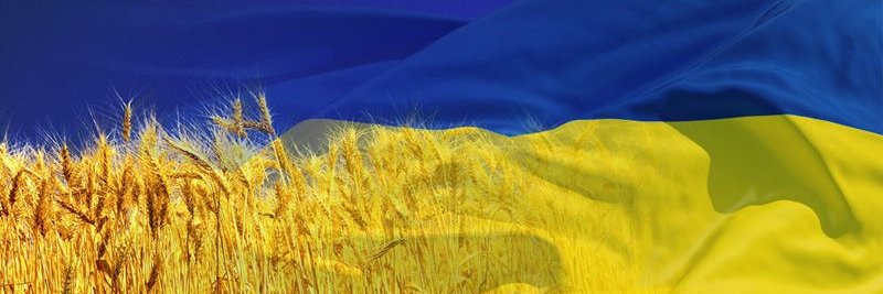 d_a_v_I_d_i_k___🇺🇦 banner