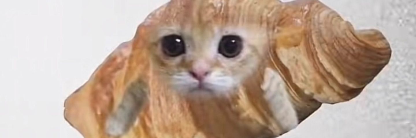 小星猩 banner