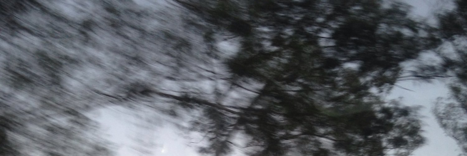 tovelover's profile banner image
