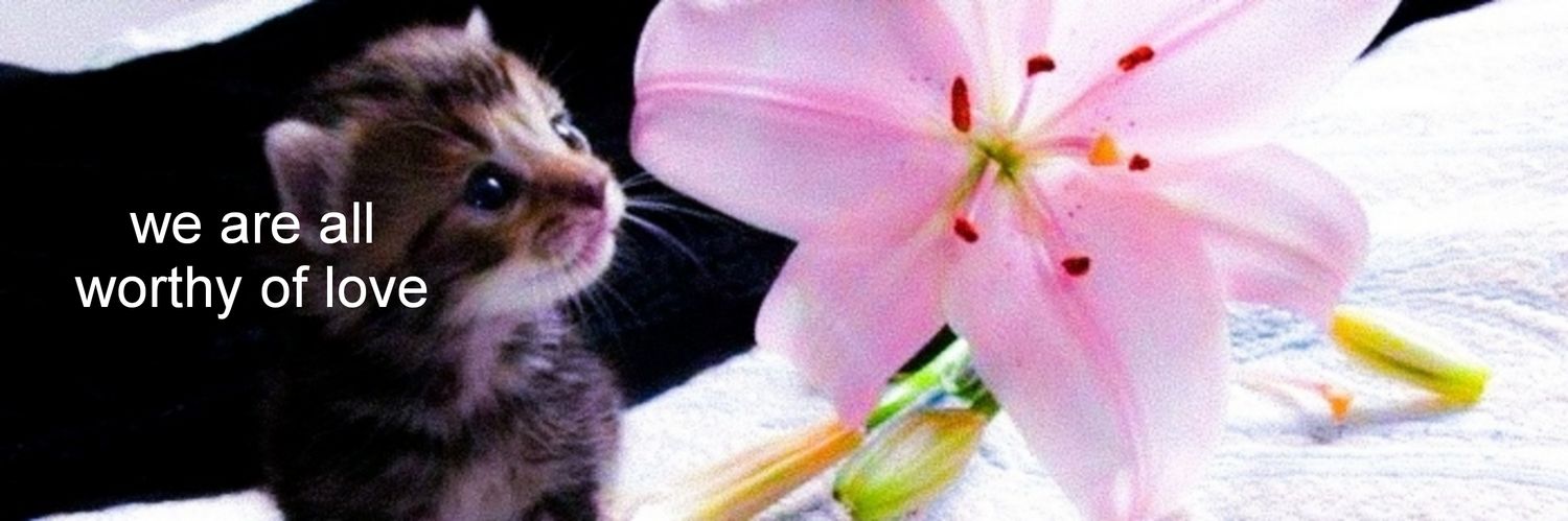 alie is logged out! banner