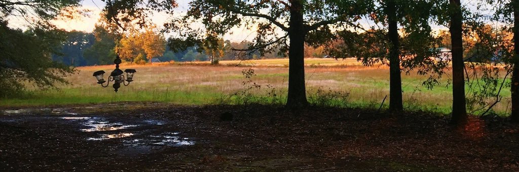 catchrisman's profile banner image
