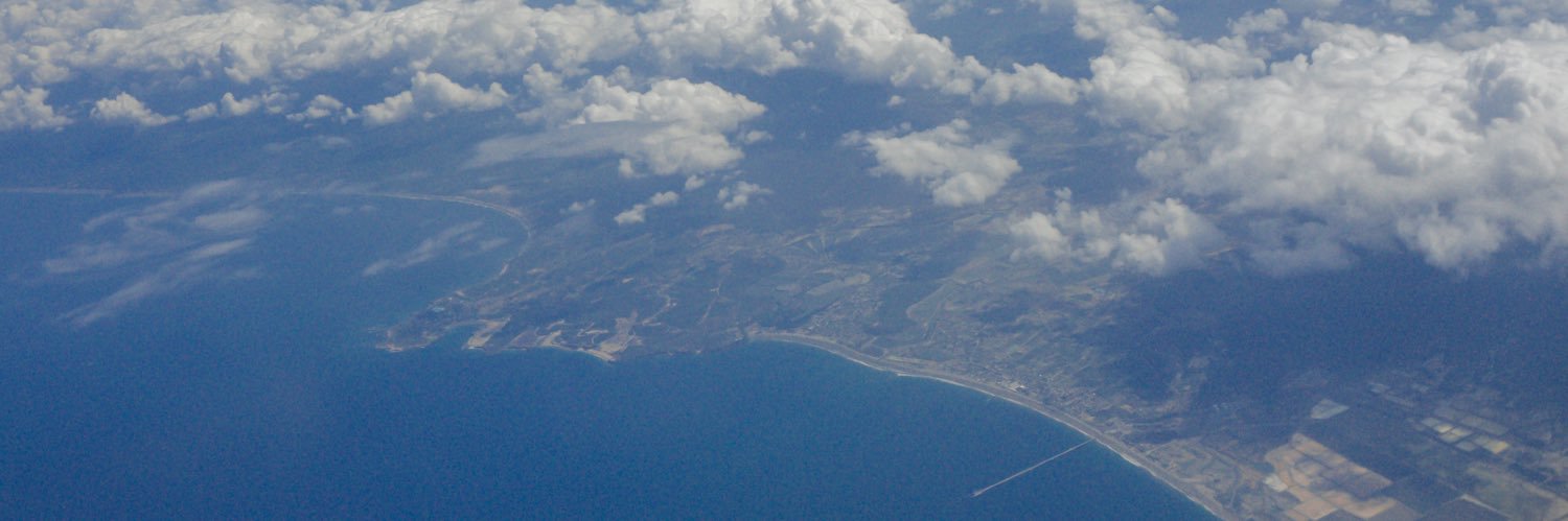 reneflorees's profile banner image