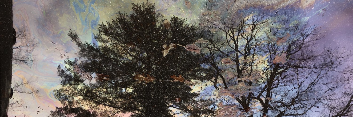 emfilippone's profile banner image