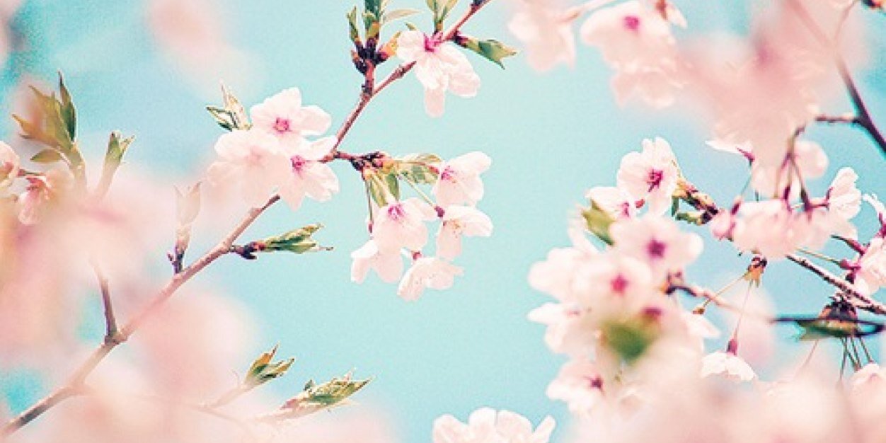 estefany contreras banner