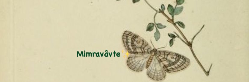 mimravavte1's profile banner image