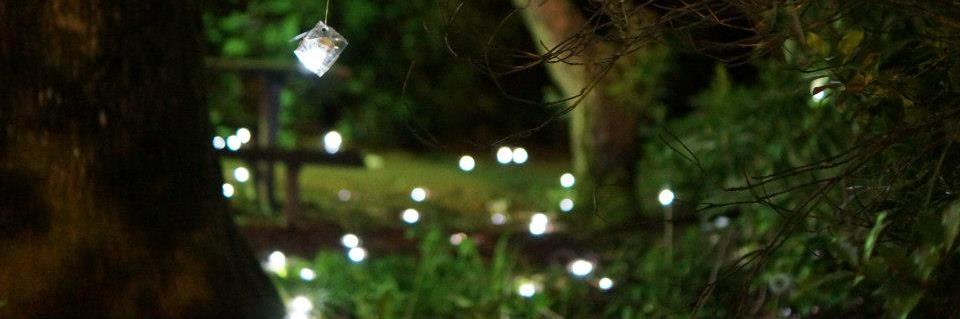 Ryn Linthicum banner