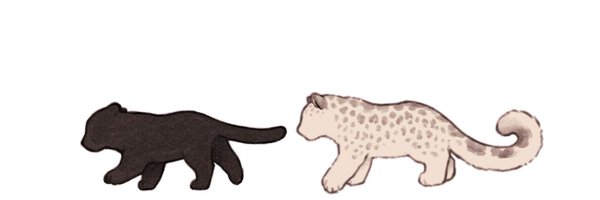 DDBuji_9 Profile Banner