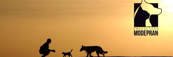 modepran Profile Banner