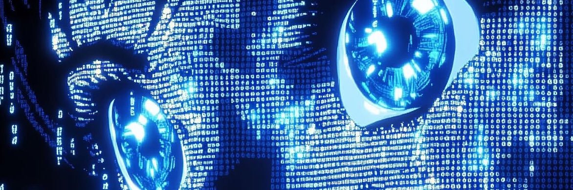 🪲Mr.Milady.eth🪲 banner