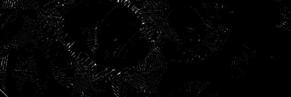 rafrennie Profile Banner