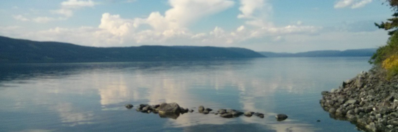 Philippa Sturt banner