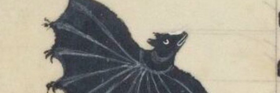 walkerimmel's profile banner image