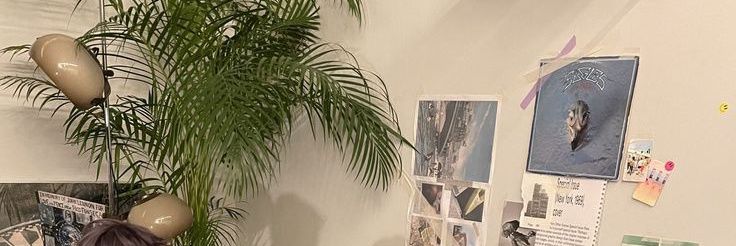 nan²⁵ banner