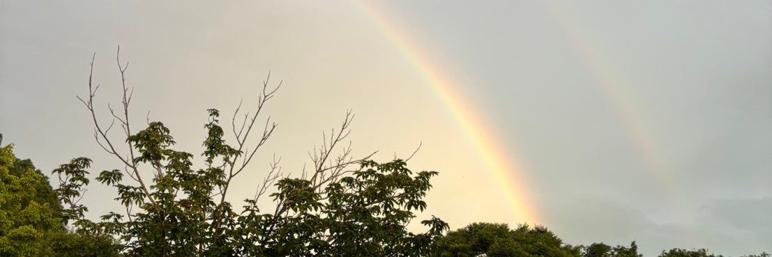 り banner