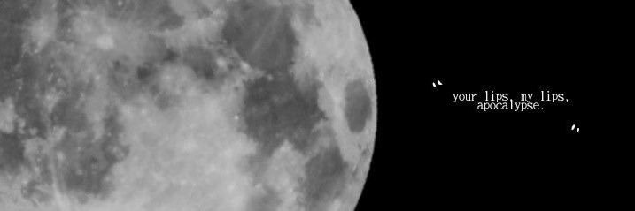 َvasty banner