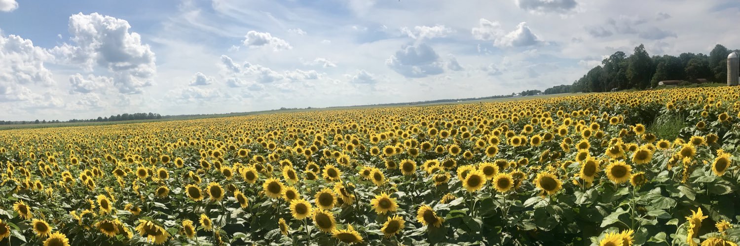 kelsey_huff's profile banner image