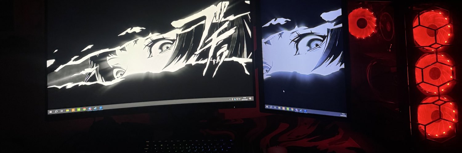 vtx banner