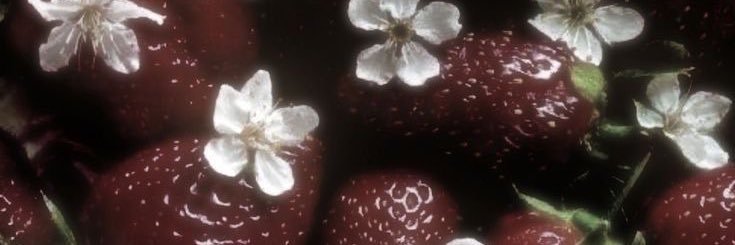 mea_nonon's profile banner image