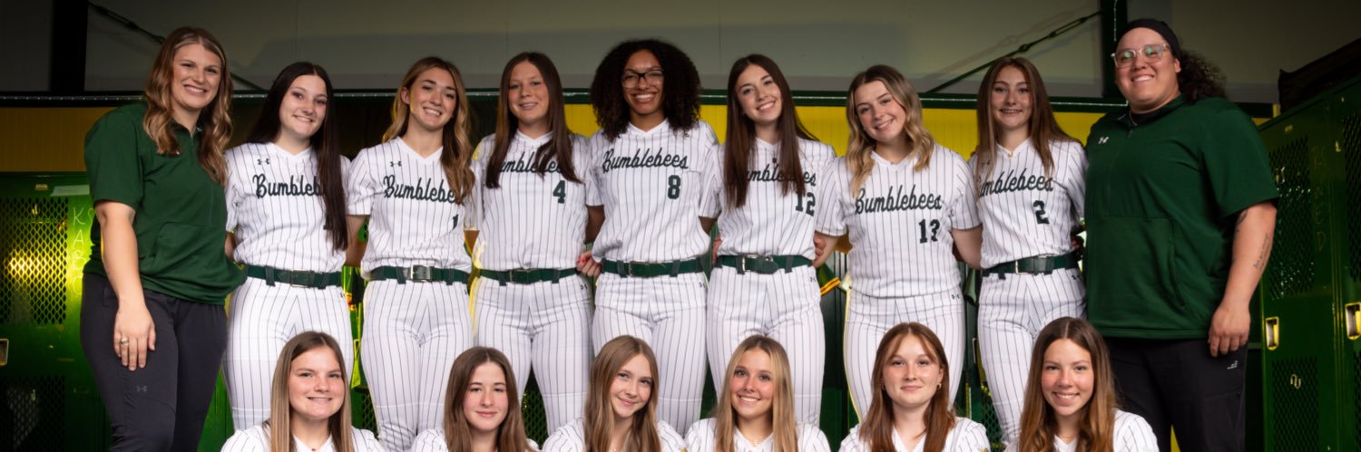 Academy HS Softball banner