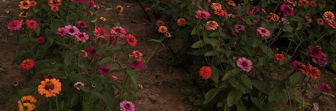 irhm_5's profile banner image