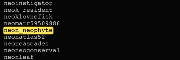 neon_neophyte Profile Banner