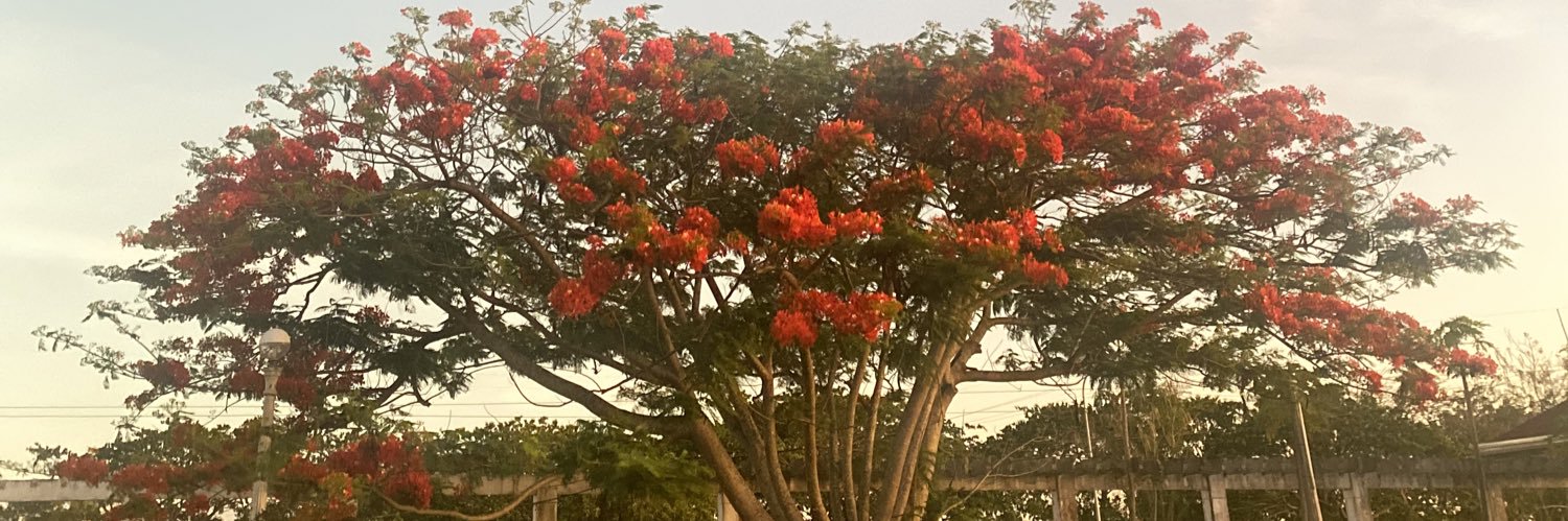 ayanuh_'s profile banner image