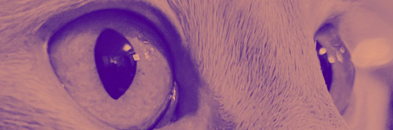 🪐 banner