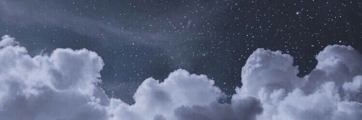 Finn Wilder banner