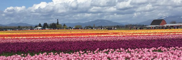 ATSPGroup Profile Banner